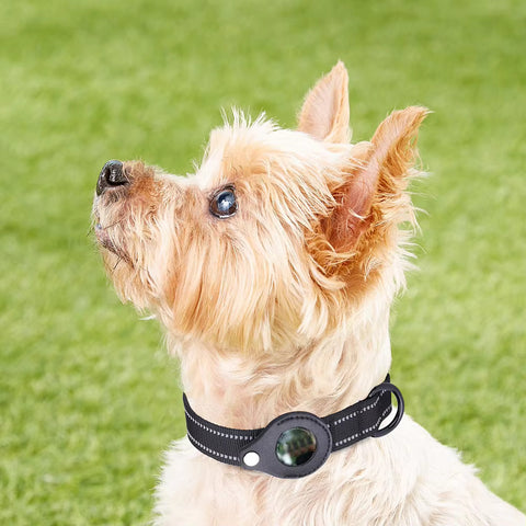 For Apple Airtag Case Cat Dog Collar GPS Finder